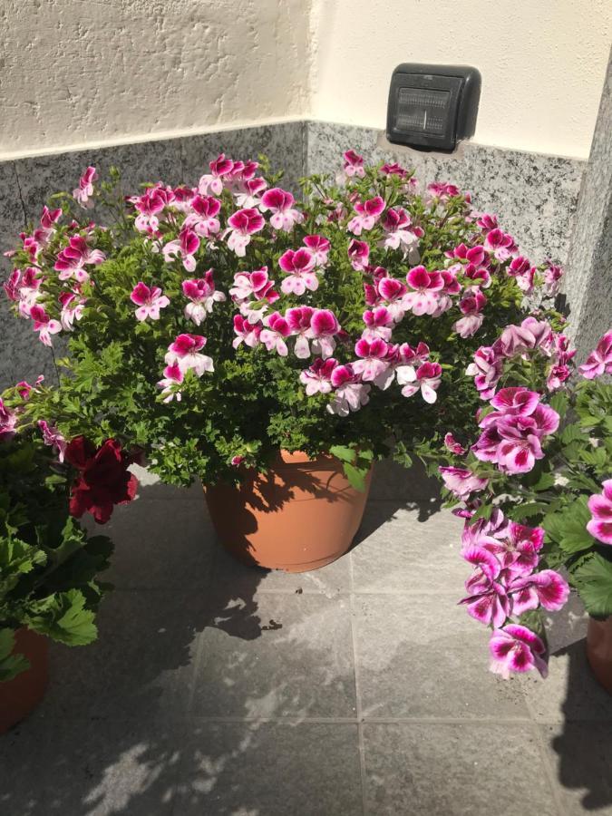 Dely B&B Arquata Scrivia Екстериор снимка